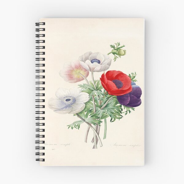 Item preview, Pierre joseph redoubt: the most beautiful flowers designed and sold by MARWA-STORE.
