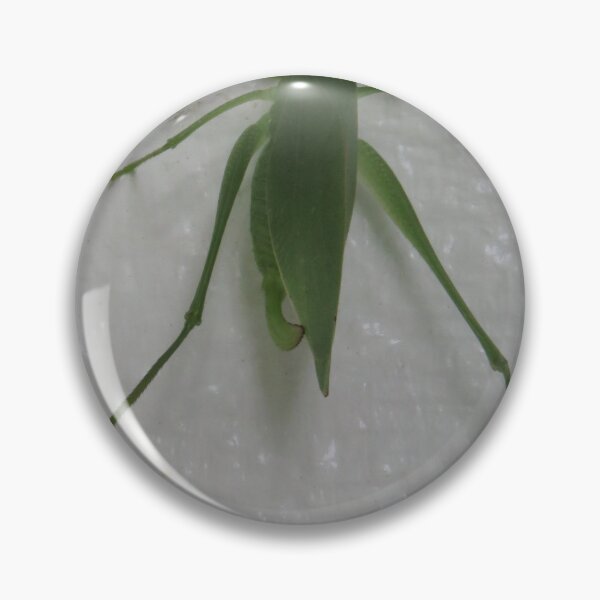 Item preview, Green katydid cricket on a white background designed and sold by Digitalcrone.