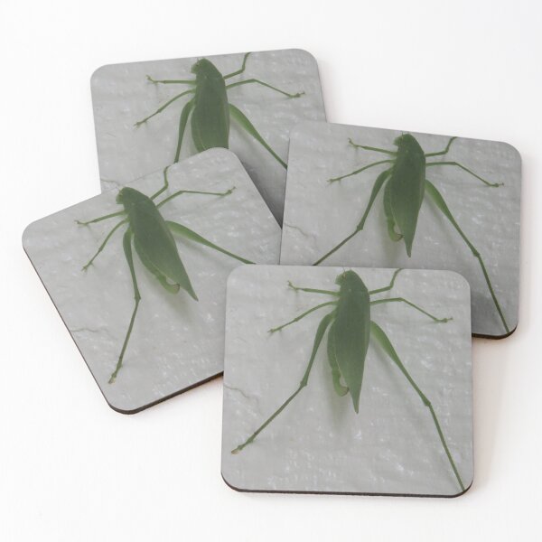 Item preview, Green katydid cricket on a white background designed and sold by Digitalcrone.