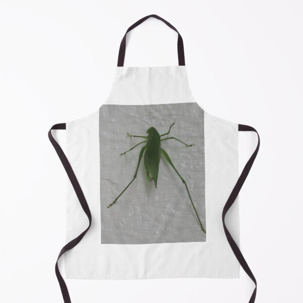 Item preview, Green katydid cricket on a white background designed and sold by Digitalcrone.