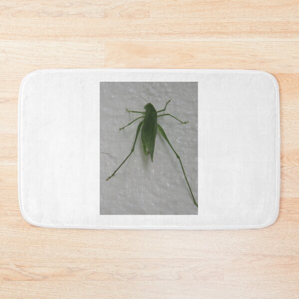Item preview, Green katydid cricket on a white background designed and sold by Digitalcrone.
