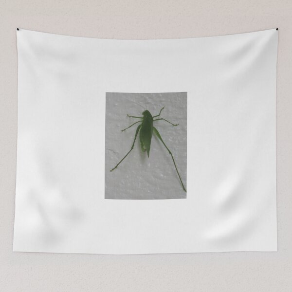 Item preview, Green katydid cricket on a white background designed and sold by Digitalcrone.