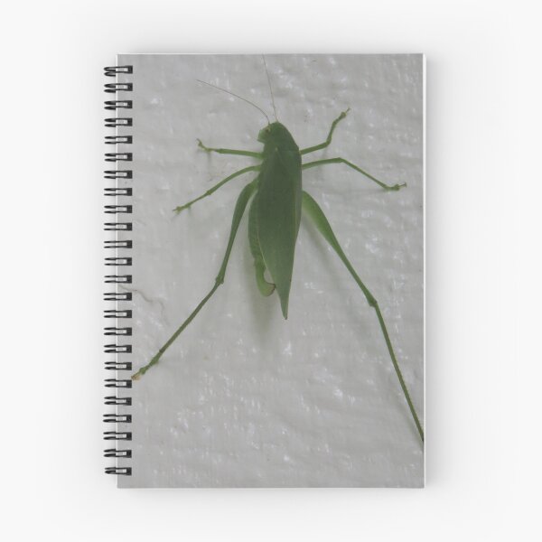 Item preview, Green katydid cricket on a white background designed and sold by Digitalcrone.