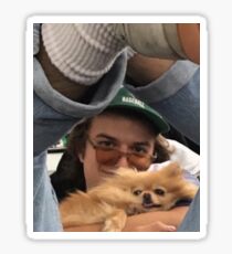 Joe Keery and the pom Sticker