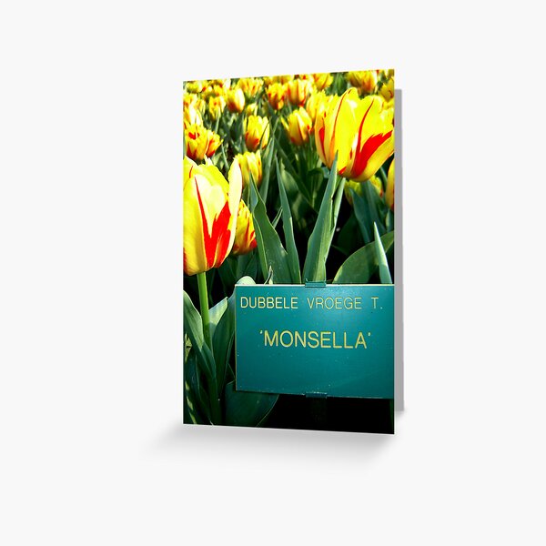 Monsella Flower Field Greeting Card