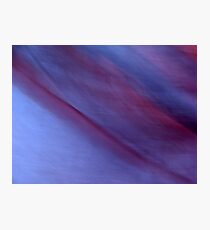 Royale Photographic Print