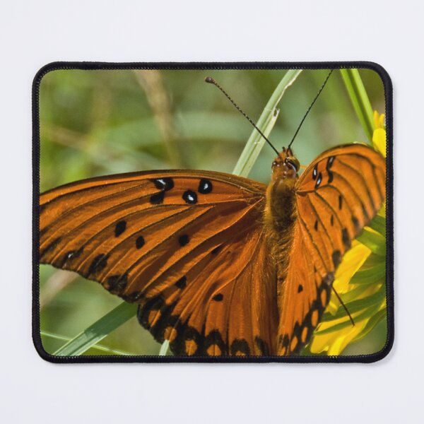 Item preview, Butterfly Wish designed and sold by Charles Dobbs Photography.