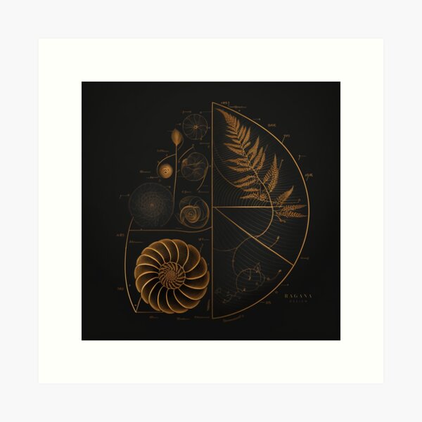 Fibonacci Golden Ratio in Elegant and Exclusive Golden and Black Design Art Print