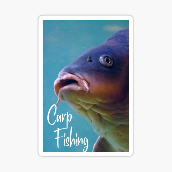 Carp Fishing Funny Stickers for Sale, Free US Shipping