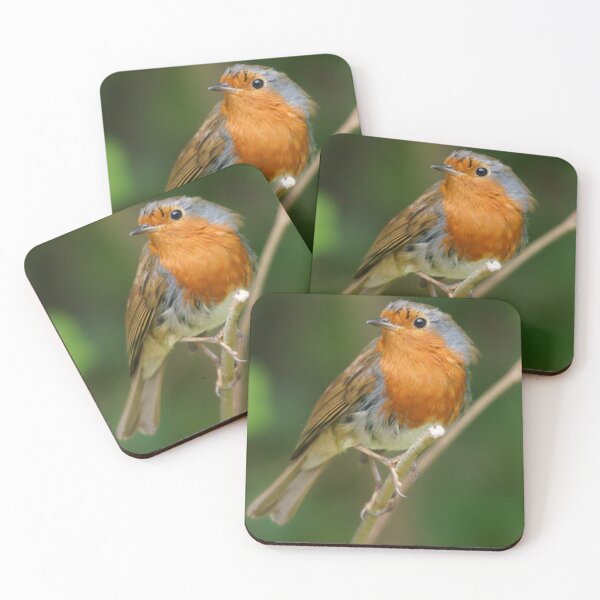 Item preview, Robin designed and sold by Chris Good.