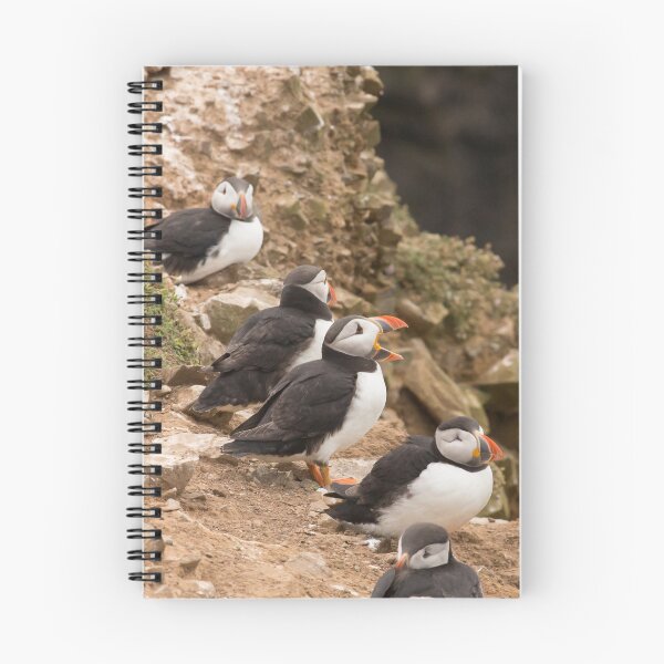 Item preview, Serenading Puffin designed and sold by Chris Good.