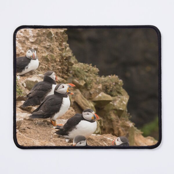 Item preview, Serenading Puffin designed and sold by Chris Good.