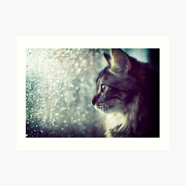 Staring Into the Open World Art Print