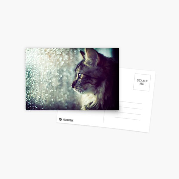 Staring Into the Open World Postcard
