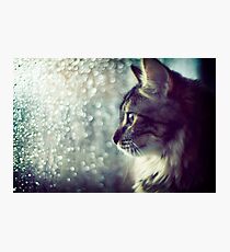 Staring Into the Open World Photographic Print