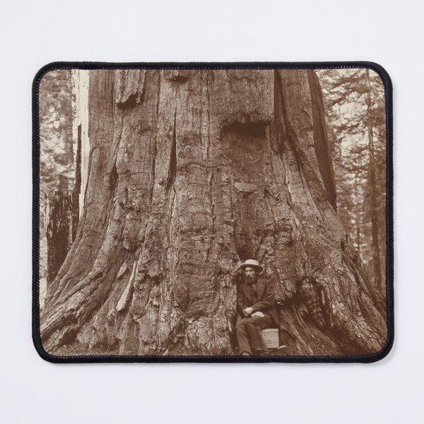 Item preview, Eadweard Muybridge at base of Giant Sequoia Tree designed and sold by World Vintage Photos.