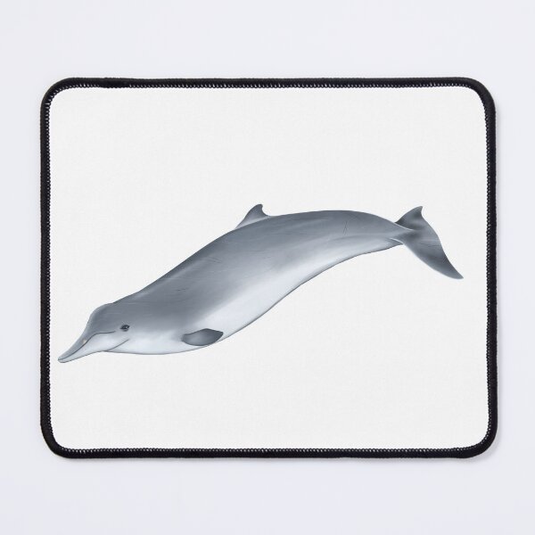 Item preview, Sowerby's beaked whale designed and sold by botogabriel.