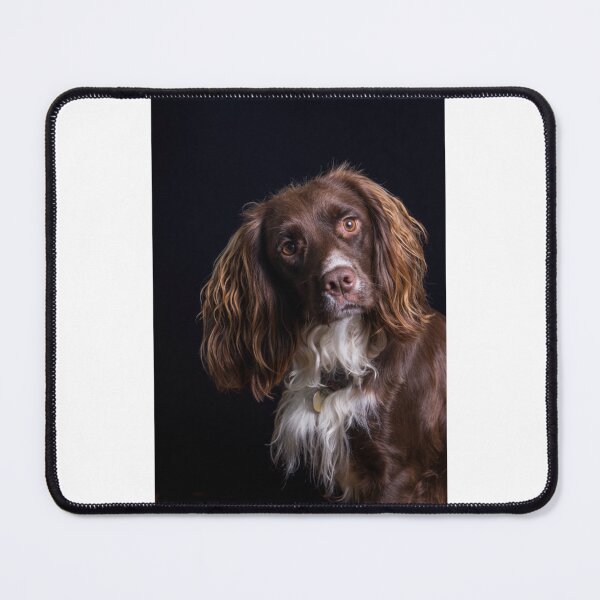 Item preview, Portrait of a Working Cocker Dog designed and sold by FepicDesign.