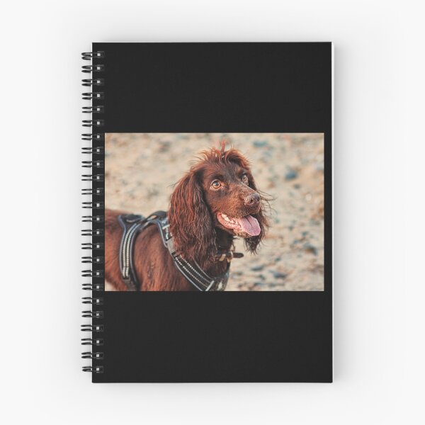 Item preview, Working Cocker Spaniel Artwork designed and sold by FepicDesign.