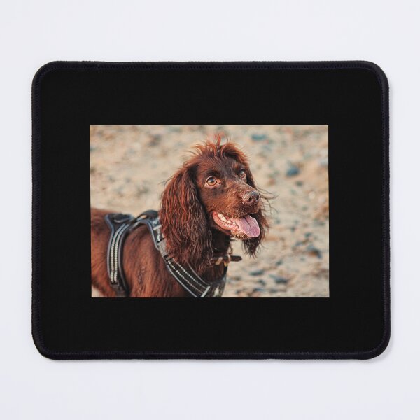Item preview, Working Cocker Spaniel Artwork designed and sold by FepicDesign.