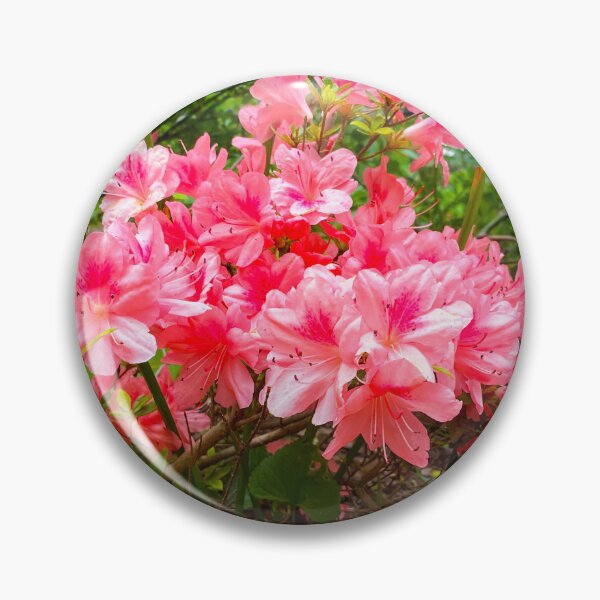 Item preview, Azaleas in Spring designed and sold by shaikenbakeart.