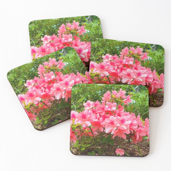 Item preview, Azaleas in Spring designed and sold by shaikenbakeart.