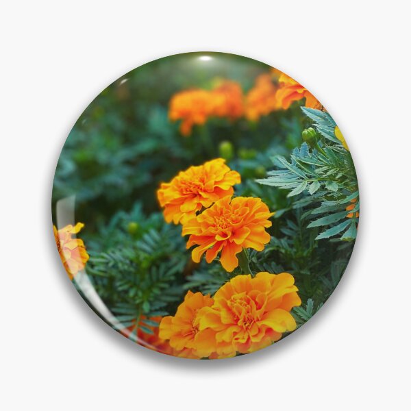 Item preview, Marigolds in Summer designed and sold by shaikenbakeart.