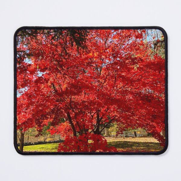 Item preview, Japanese Maple designed and sold by shaikenbakeart.