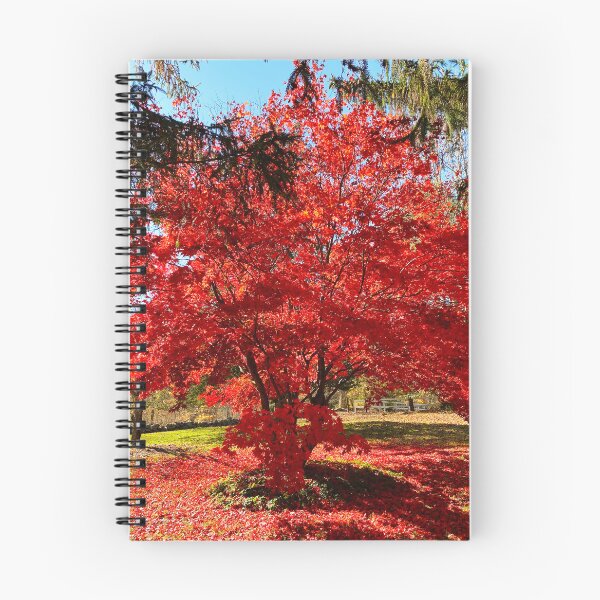 Item preview, Japanese Maple designed and sold by shaikenbakeart.