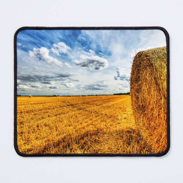 Item preview, Freshly Cut Straw Field, Lincolnshire Wolds designed and sold by Paul Thompson Photography.