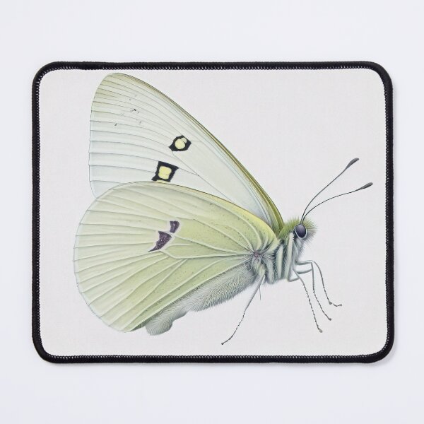 Item preview, White Butterfly designed and sold by Vanover Designs.