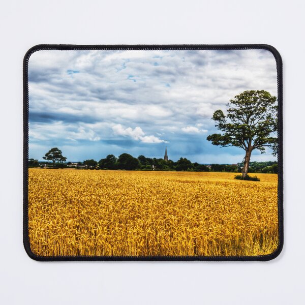 Item preview, St James' Church, Louth, Behind The Trees, Lincolnshire designed and sold by Paul Thompson Photography.