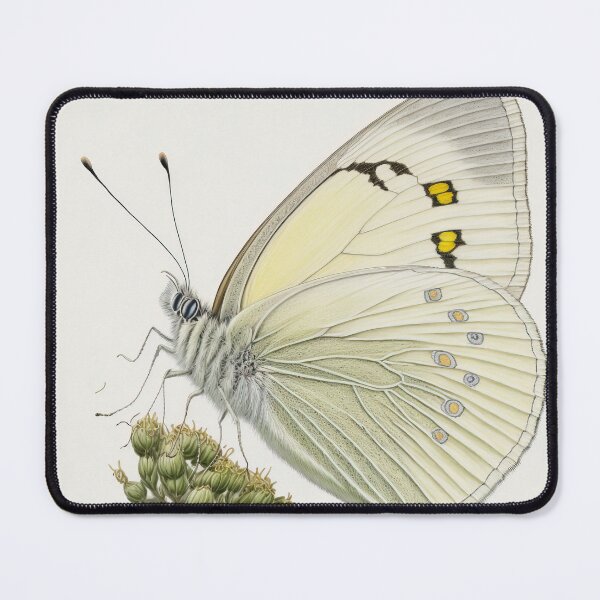 Item preview, White Butterfly designed and sold by Vanover Designs.