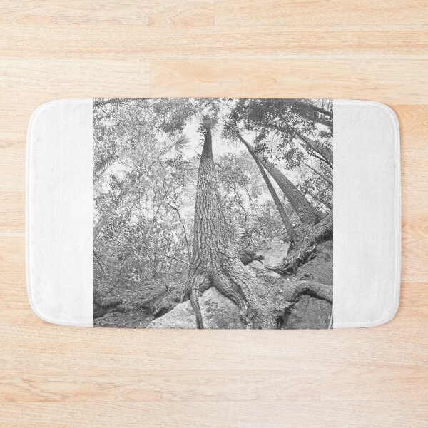 Item preview, Looking Up The Pines Black And White designed and sold by LisaWootenPhoto.