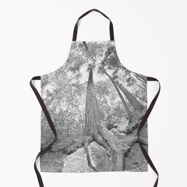Item preview, Looking Up The Pines Black And White designed and sold by LisaWootenPhoto.