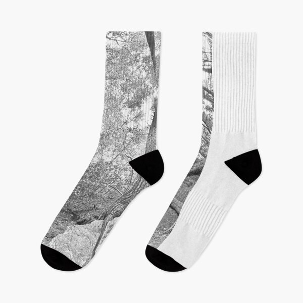 Item preview, Looking Up The Pines Black And White designed and sold by LisaWootenPhoto.