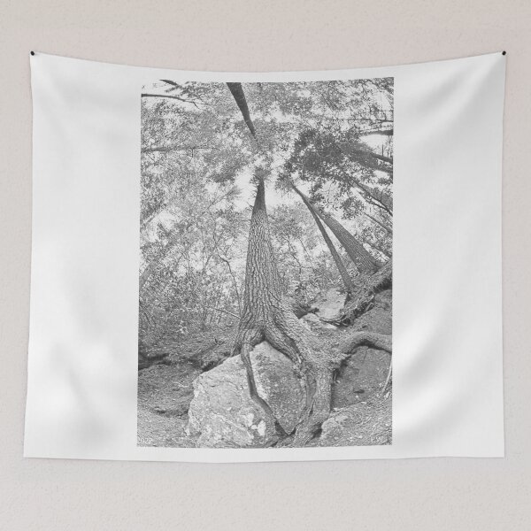 Item preview, Looking Up The Pines Black And White designed and sold by LisaWootenPhoto.