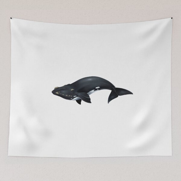 Item preview, Southern right whale designed and sold by botogabriel.