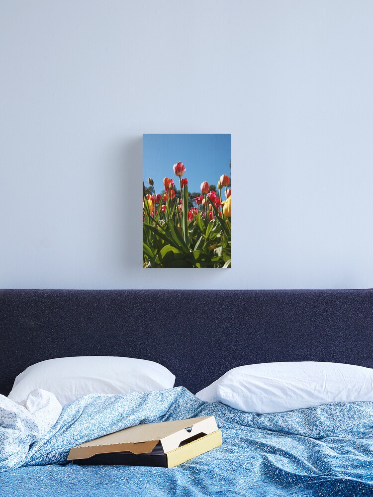 Canvas Print, Tulips at Araluen designed and sold by Andreas Koepke