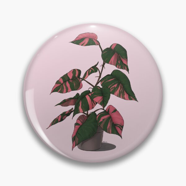 Artikelvorschau, Philodendron Rosa Prinzessin entworfen und verkauft von klaudiasacher.