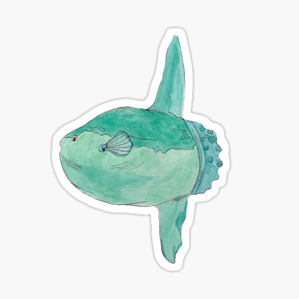 Sunfish Stickers, Unique Designs