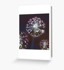 Floral Fireworks. Dark Floral Greeting Card