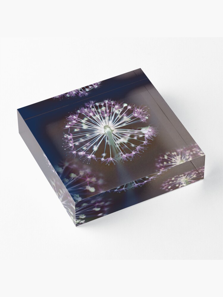 Alternate view of Floral Fireworks. Dark Floral Acrylic Block