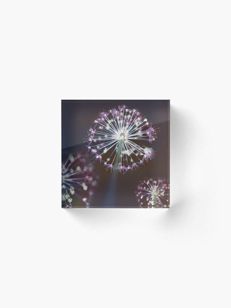 Alternate view of Floral Fireworks. Dark Floral Acrylic Block