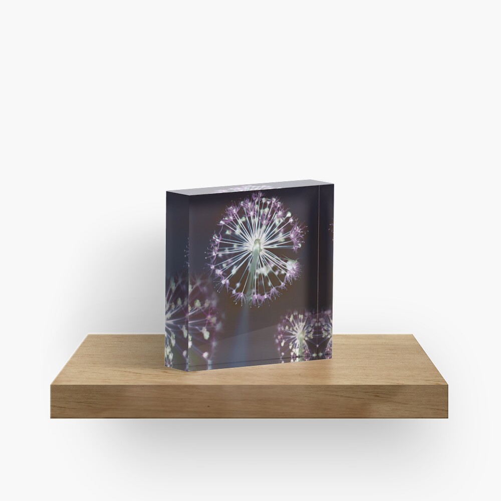 Floral Fireworks. Dark Floral Acrylic Block