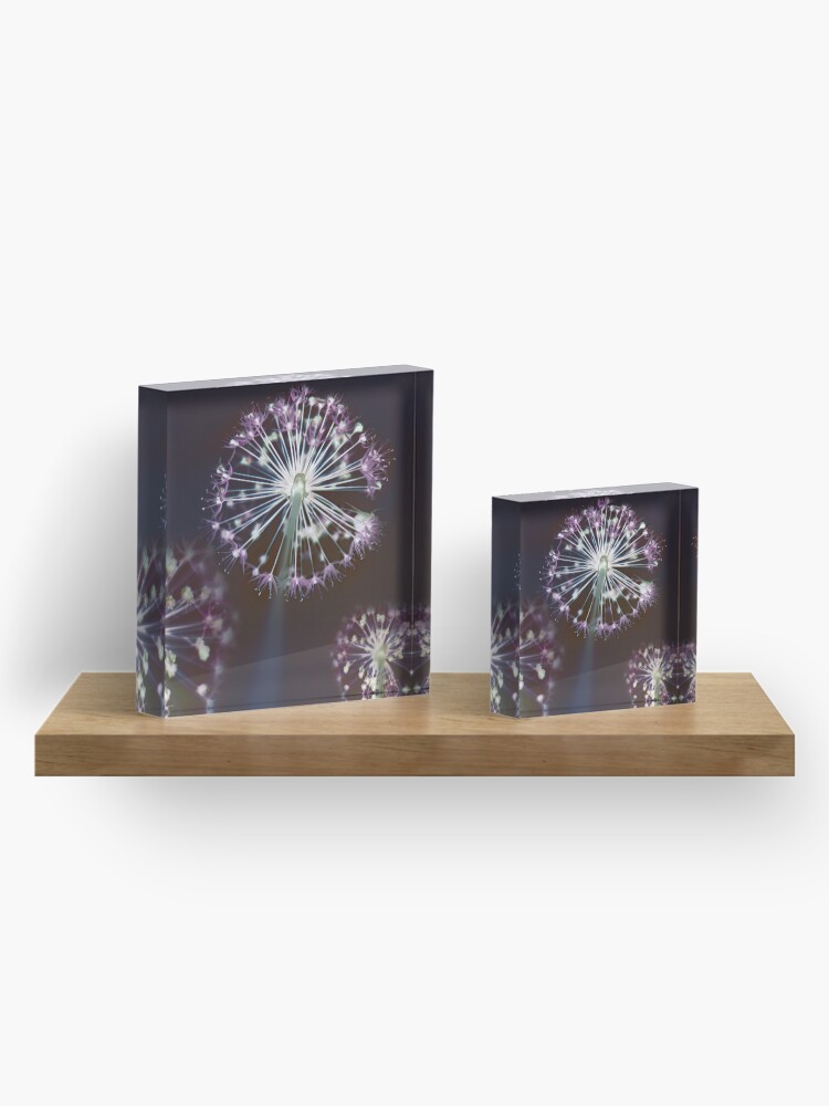 Alternate view of Floral Fireworks. Dark Floral Acrylic Block