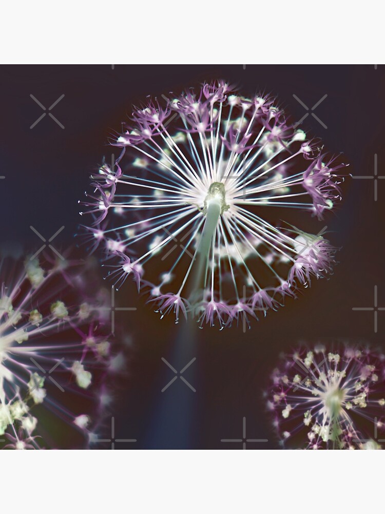 Floral Fireworks. Dark Floral by tanjica