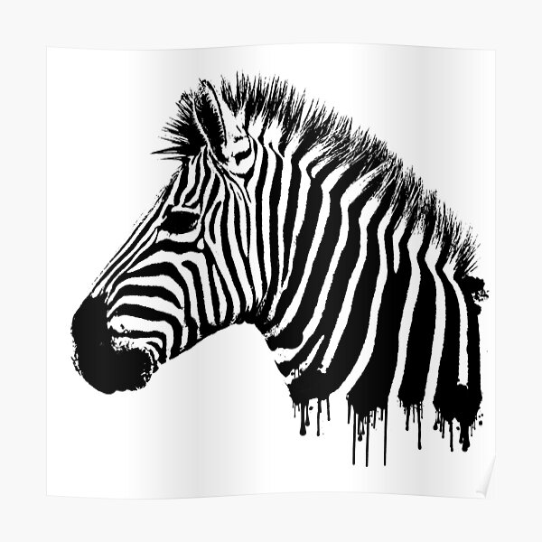 Zebra paint drip Poster