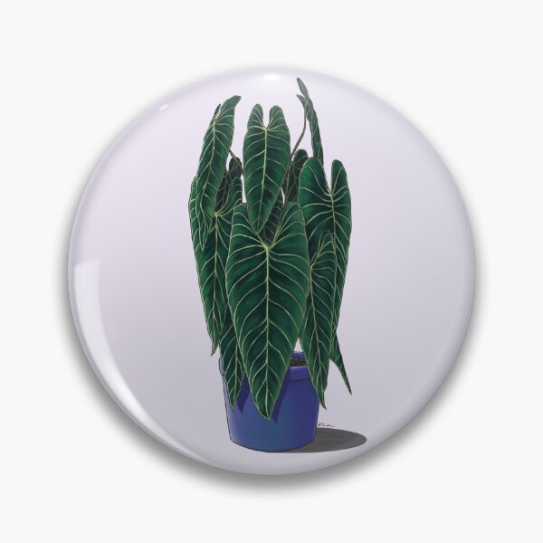 Artikelvorschau, Philodendron Melanochrysum entworfen und verkauft von klaudiasacher.