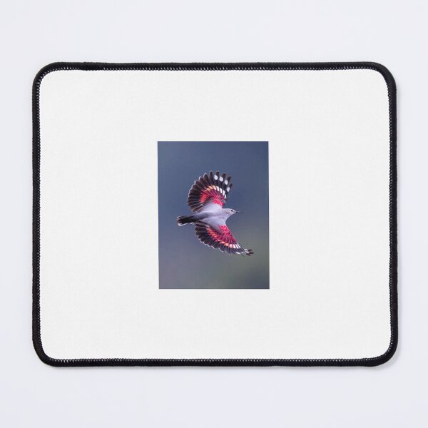 Item preview, Birds, bird, flying, wings ,Suvash barman, gifts, nature, beauty  designed and sold by suvashbarman.